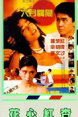 国产一区二区三区黄视频